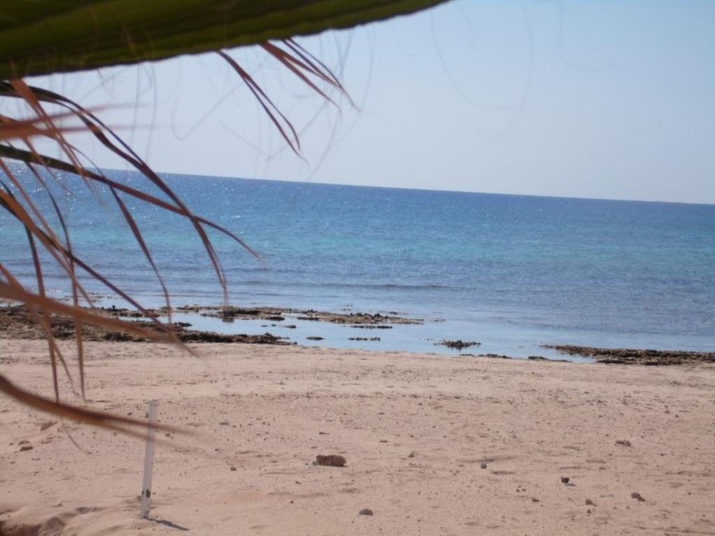 Villa Alexandra Ayia Napa Bagian luar foto