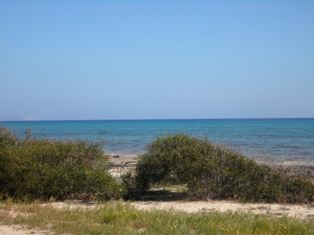 Villa Alexandra Ayia Napa Bagian luar foto